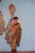  at the Launch of Zoya Banaras collection by Taj Khazana on 22nd Aug 2012 (158).JPG